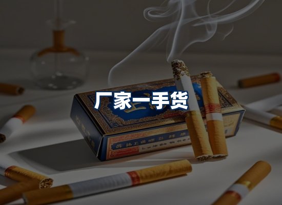 专业团队办公环境
